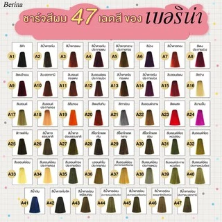 Berina เบอริน่า ยาย้อมผม สีย้อมผม ครีมย้อมผม สีผม 47 เฉดสี ราคาส่ง ทำสีผมเบอรีน่า