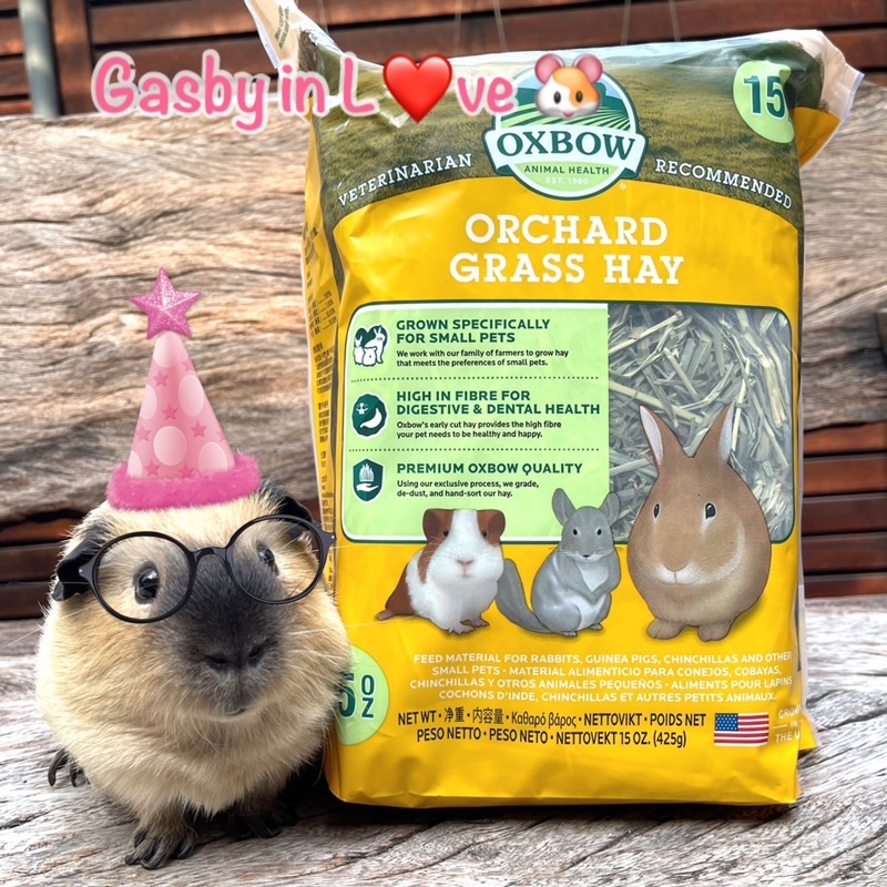Oxbow Orchard Grass Hay หญ้าแห้งออชาร์ด สำหรับสัตว์ฟันแทะ 🐹🌱
