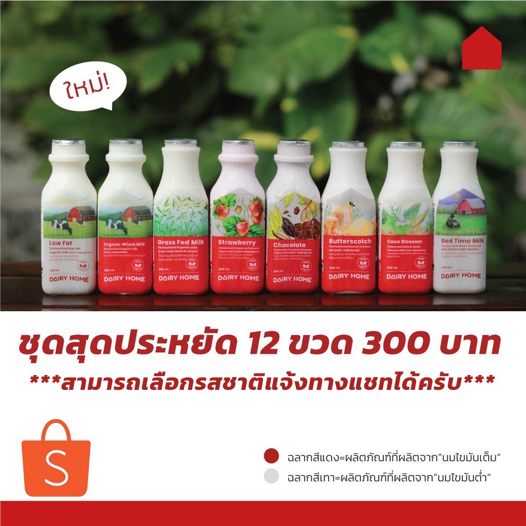 ผักไดโนเคล แบบตัดใบสด โปรสุดคุ้ม 100กรัม ปลูกดิน ปลอดสารพิษ queenkale