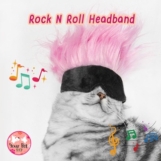 ผ้าคาดหัวชาวร๊อคของสัตว์เลี้ยง หมวกสัตว์เลี้ยง แมว หมา Rock n Roll Pet Headband โกโจ สก็อตติช โฟลด์ เปอร์เซีย