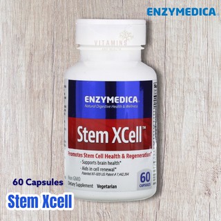 ✅พร้อมส่ง มีโค้ดลด Stem Xcell, Enzymedica, Stem Xcell, 60 Capsules | Stem cell