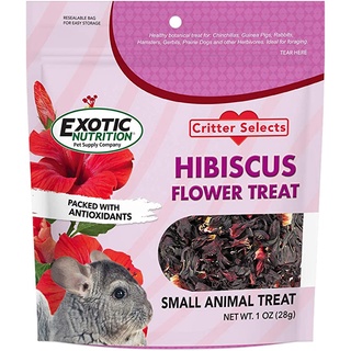 RANDOLPH แรนดอล์ฟ-Exotic Nutrition Hibiscus Flower Treat (1 oz.) ไฮบีซคัซ ฟลาวเวอร์ ทรีส 1 ออนซ์