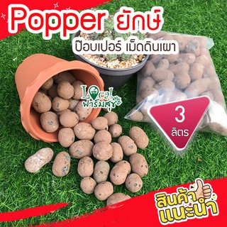 Local ฟาร์มสุข เม็ดดินเผา popper ลดการเกาะตัวของดิน ใช้ล่อราก เก็บความชื้น  แคตตัส เม็ดดินเผามวลเบา กระบองเพชร เม็ดใหญ่