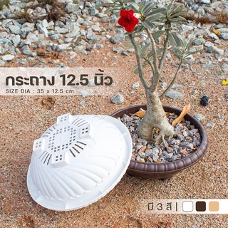 กระถางต้นไม้ 12.5 นิ้ว ทรงปากกว้าง กระถางพลาสติก เหมาะสำหรับปลูกไม้โขด กระถางทรงตื้น ระบายน้ำได้ดี Triple-p #897