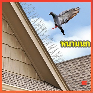 หนามไล่นก อุปกรณ์ไล่นกทำรัง ทนทาน ทนแดด ทนฝน ไล่นก bird thorn