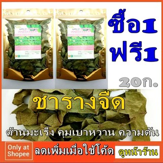 โปร1แถม1 รางจืด ถุงซิปล็อค ห่อละ 20 กรัม ใบชา อบแห้ง สมุนไพร แท้ 100% ใช้ ชงชา ลดความดัน เบาหวาน ต้านมะเร็ง ออร์แกนิค หอ