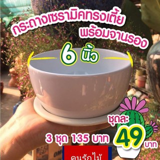 กระถางเซรามิคเคลือบขาวทรงเตี้ย 6" พร้อมจานรองดำ(จานรองขาวครีมหมด)