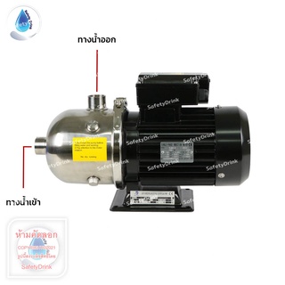 Safetydrink ปั๊ม Multistage แนวนอน WATER STORE 1HP/0.75KW CHL2-60 (220V)