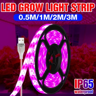 Hydroponics Plants LED Grow Light Strip Full Spectrum USB 5V Seedling Flower Lamp Indoor Waterproof Growth Tent 0.5 1 2 3M