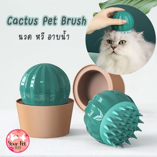 แปรงนวดแมวลายแคตตัส หวีขน แปรงอาบน้ำ ซิลิโคนCactus Pet Brush สก็อตติช โฟลด์ เปอร์เซีย สีสวาด ขาวมณี