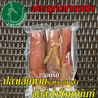 ปลาทูกัง 250 กรัม ปลาทุกัง ปลาริวกิว