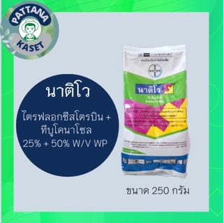 นาติโว 75 WG 250 กรัม ทีบูโคนาโซล + ไตรฟลอกซีสโตรบิน สารป้องกันและกำจัดเชื้อรา ใช้ได้ทั้งนา ไม้ผล ผัก ข้าวโพด