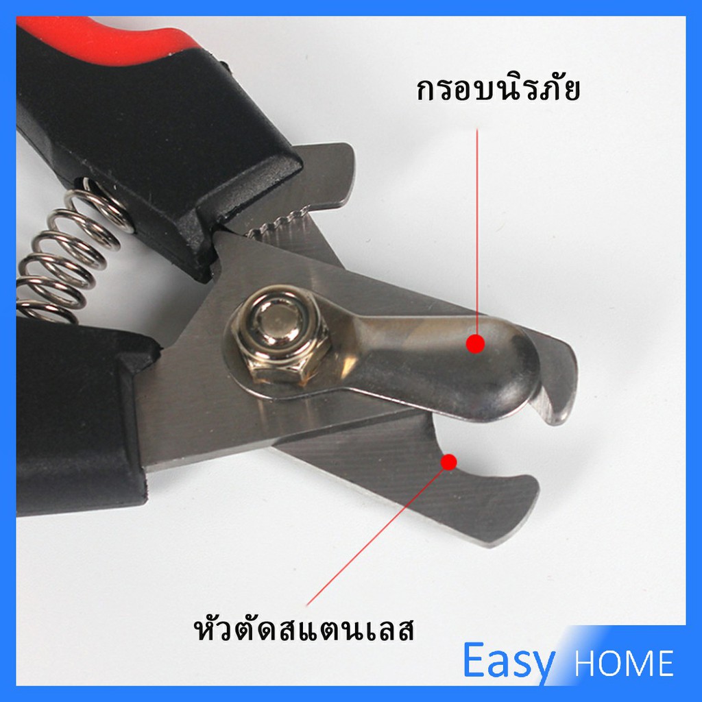 รูปภาพ 9