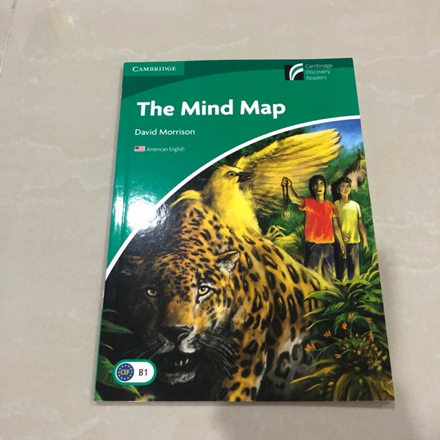 The mind map book****