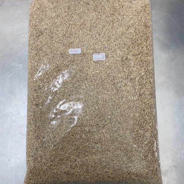 ข้าวโอ๊ต (Oat) อาหารเสริม อาหารสำหรับนกเล็ก
