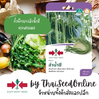 GGEW เมล็ดพันธุ์ซฟ ถั่วฝักยาว ลำน้ำชี 100 เมล็ด ตราศรแดง ถั่วเนื้อ Long Yard Bean