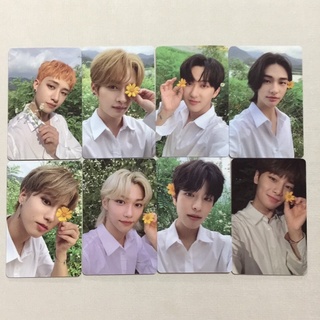 #พร้อมส่ง POD Photocard Noeasy Limited แยกเมมเบอร์ หนุ่มดอกไม้ — Stray Kids