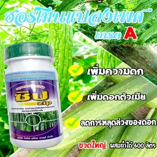 ยาแปลงเพศแตงกวา แตงร้าน ฮอร์โมนแปลงเพศ ซิป 100/500 มล. ตราปทุมทอง