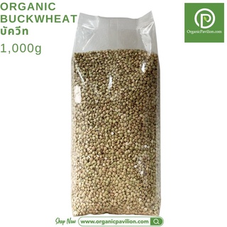 Organic Pavilion Organic Buckwheat Grains เมล็ดบัควีท (1000gm)