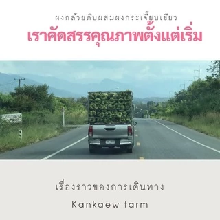ผงกล้วยน้ำว้าดิบ ผสม ผงกระเจี๊ยบเขียว ขนาด100กรัม,200กรัม,500กรัม
