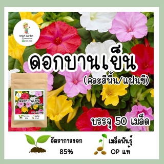 เมล็ดพันธุ์ ดอกบานเย็น คละสี 50 เมล็ด (คละสีพื้น/แฟนซี) เมล็ดพันธุ์แท้ อัตราการงอกสูง