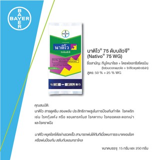 นาติโว 75 ดับบลิวจี (Nativo® 75 WG) ( ขนาด 250 กรัม ) สารป้องกันและกำจัดโรคพืช