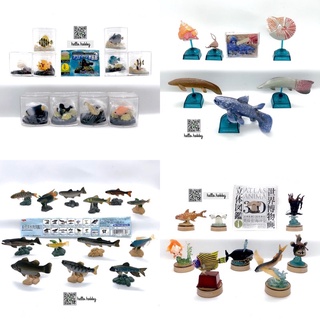 งานฝา สัตว์น้ำ Aquarium Bottle Cap Collection by Kaiyodo / Yukon / EPOCH