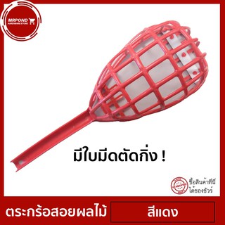 ตระกร้อ ตะกร้อ ตะกร้อสอยผลไม้ ตะกร้อสอบมะม่วง ตระกร้อสอยมะม่วง ตะกร้อสอยมะนาว ตะกร้อเก็บผลไม้ เก็บผลไม้ สอยผลไม้
