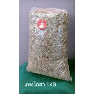หญ้าแพงโกล่า 1 กิโลกรัม (Pangola grass 1 kg)