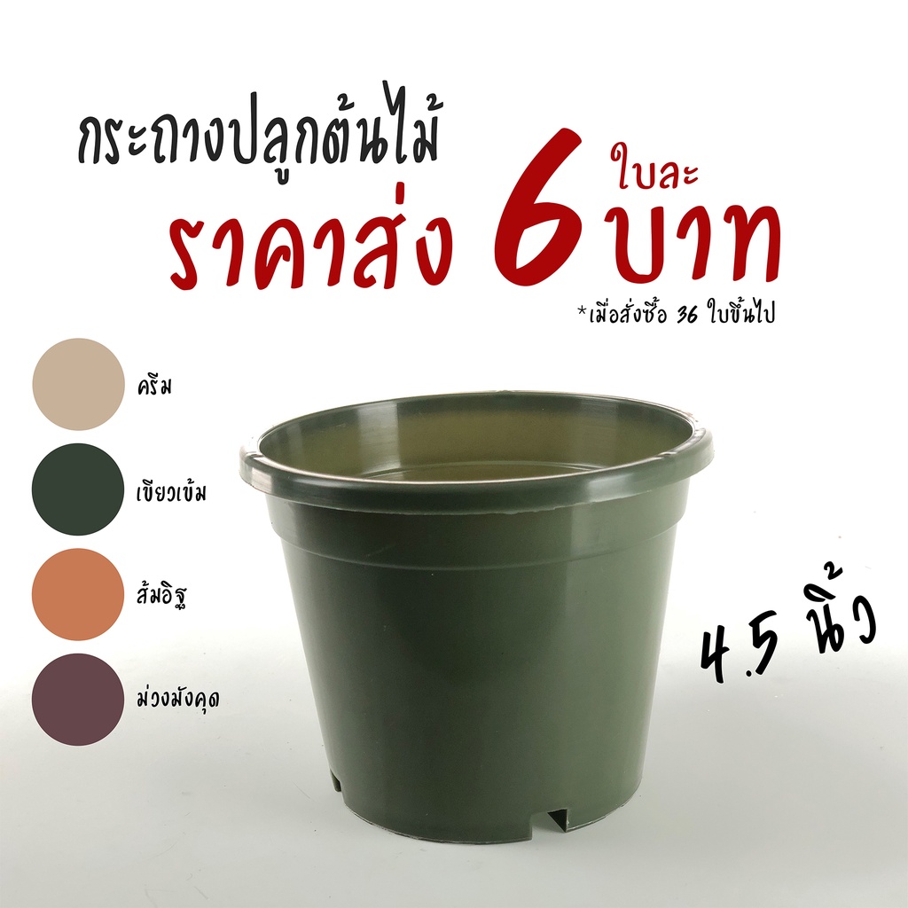 กระถางปลูกต้นไม้ 4.5 นิ้ว ขั้นต่ำ 12 ใบ คละสีได้