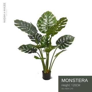 Artificial Monstera Tree ต้นมอนสเตร่า สูง120CM ต้นไม้ปลอมเกรดพรีเมี่ยม มาดามขจี Premium Artificial Plant ต้นไม้ปลอมใหญ่