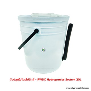 ถังปลูกไฮโดรโปนิกส์ รางปลูกผักอัตโนมัติ - DWC Hydroponics 20L