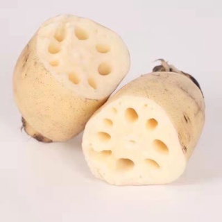 สดใหม่👍🏻รากบัวสดมาจากเมืองจีน ของพึ่งมาใหม่สดๆอร่อย 1000g (生莲厚）