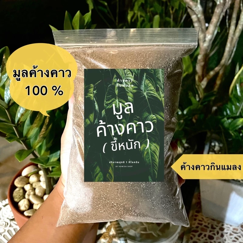 ค้างคาวทอง ปุ๋ยค้างคาว [ขี้หนัก] รอดทุกต้น แตกยอดสวยใบเขียว