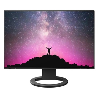 LCD MONITOR EV2495-BK