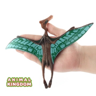 Animal Kingdom - โมเดลไดโนเสาร์ Pterosaurus ฟ้า ขนาด 24.50 CM (จากหาดใหญ่)