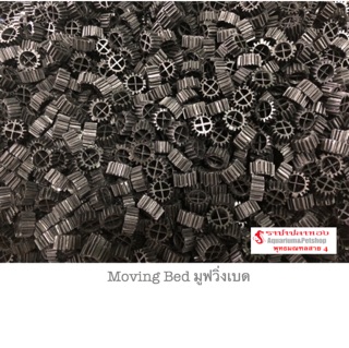 Moving Bed มูฟวิ่งเบด รุ่นใหม่ ขนาด 300 กรัม