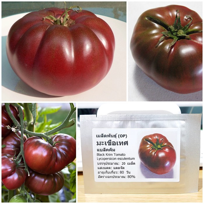 เมล็ดพันธุ์ มะเขือเทศ แบล็คคิม (Black Krim Tomato Seed) บรรจุ 20 เมล็ด คุณภาพดี ของแท้ 100%