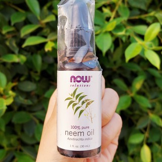 น้ำมันสะเดาสกัด Now Foods® Solutions Neem Oil 30 ml น้ำมันนีม บำรุงผิว ผิวชุ่มชื่น เปล่งปลั่ง