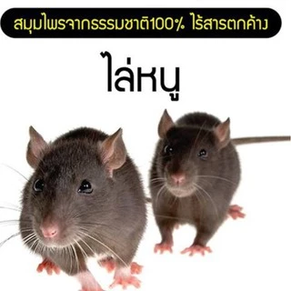 ไล่นก ไล่จิ้งจก ไล่หนู ไล่ค้างคาว 500 ml. (MG-500) ไล่มด แมลงสาบ แมงมุม ฯลฯ