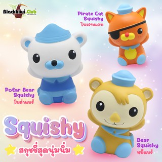 สกุชชี่ Polar Bear, Pirate Cat, Bear Squishy