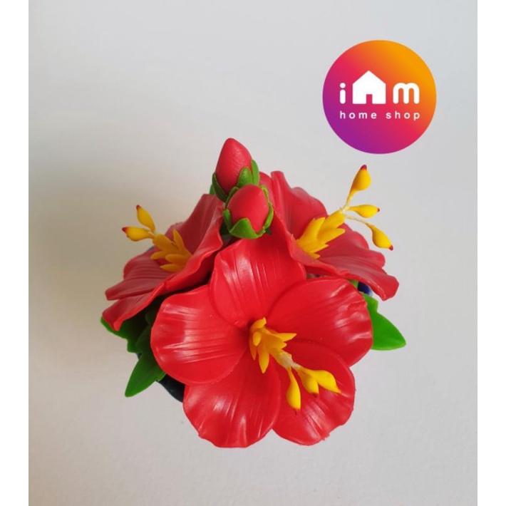 พานชบาแดง พานดาวเรือง ขนาดพาน 2 นิ้ว - รูปที่ 3