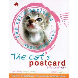 the cats postcard ส่งรัก...คนรักแมว