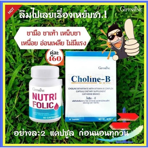Giffarine NUTRIFORIC &amp; Choline-B