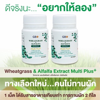 ** โปร 2 กระปุก 60 เม็ด ** ผักเม็ด Wheatgrass &amp; Alfalfa Extract Multi Plus+ Q10 (ฟรีค่าส่ง)