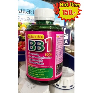 B1 วิตามิน B1  เร่งราก