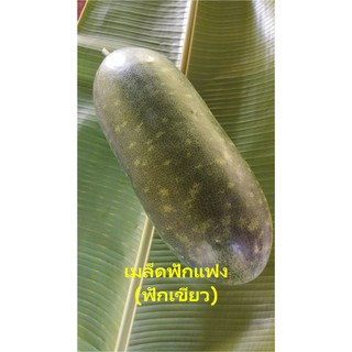 เมล็ดฟักแฟง(ฟักเขียว) 70เมล็ด 20บาท