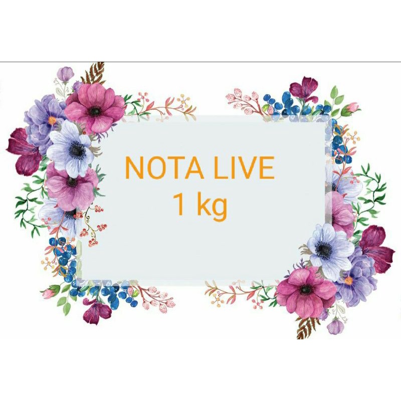 Nota live 1 กก. 24,000