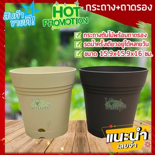 กระถางต้นไม้พร้อมจานรอง 🌵 กระถางต้นไม้ 6” Plant Pot กระถางรดน้ำต้นไม้อัตโนมัติ กระถางไม้ฟอกอากาศ ขนาด 15.9x15.9x16 cm