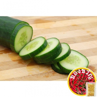 CUCUMBER Defender F1 Hybrid Pipino Seeds (Rushmore brand) Repack苹果/裙子/种子/园艺/seeds/上衣/玫瑰/生菜/芹菜/男装/ ZMUW